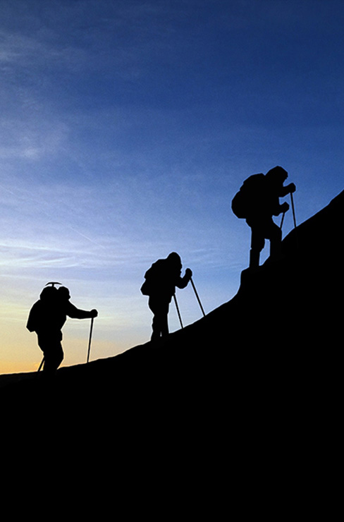 企业愿景 (Vision)